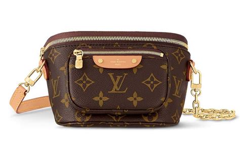 modello louis vuitton monogram|louis vuitton mini bum bag.